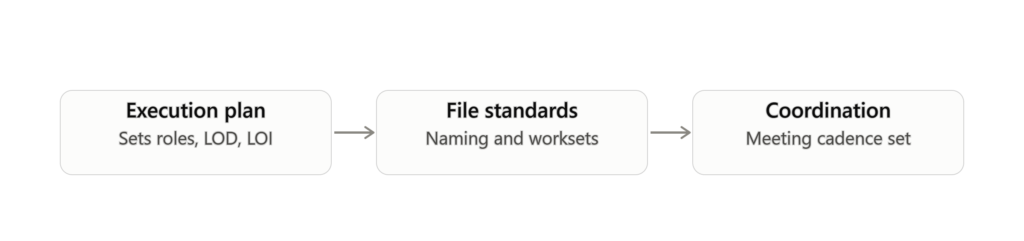 BIM consultant execution plan process for file standards and coordination setup